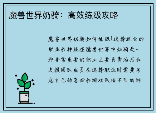 魔兽世界奶骑：高效练级攻略