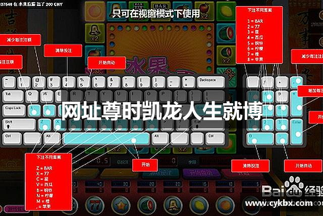 网址尊时凯龙人生就博